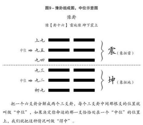 震木|易经中位于东方的震卦木意象你要懂